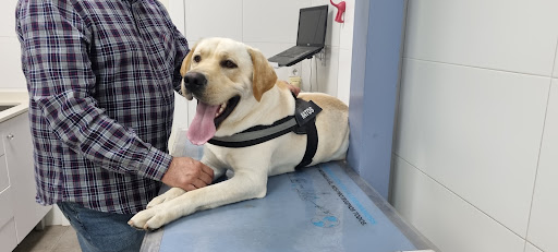 Clínica Veterinaria Colón en Albacete