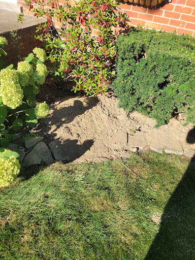 Foundation «Foundation Systems of Michigan», reviews and photos