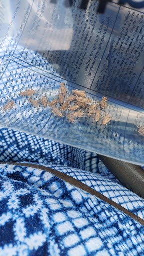 Pet Supply Store «PetSmart», reviews and photos, 476 Corwin Nixon Blvd, South Lebanon, OH 45065, USA