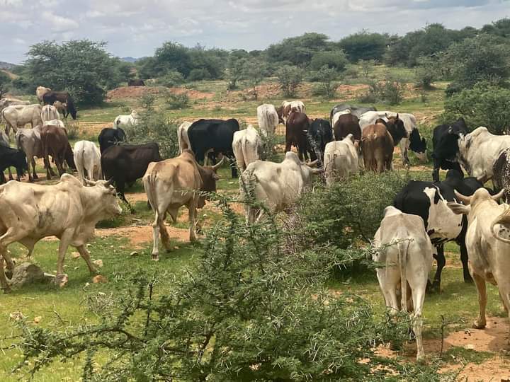 Nyala, Sudan