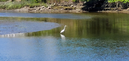 State Park «Farm River State Park», reviews and photos, Mansfield Grove Road, East Haven, CT 06512, USA