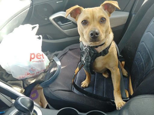 Pet Supply Store «Petco Animal Supplies», reviews and photos, 415 E University Dr, Granger, IN 46530, USA