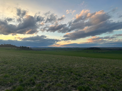Friedrichshohenberg - Falkenstein/Harz