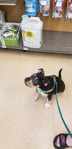 Pet Supply Store «Petco Animal Supplies», reviews and photos, 3055 Columbia Blvd #117, Titusville, FL 32780, USA