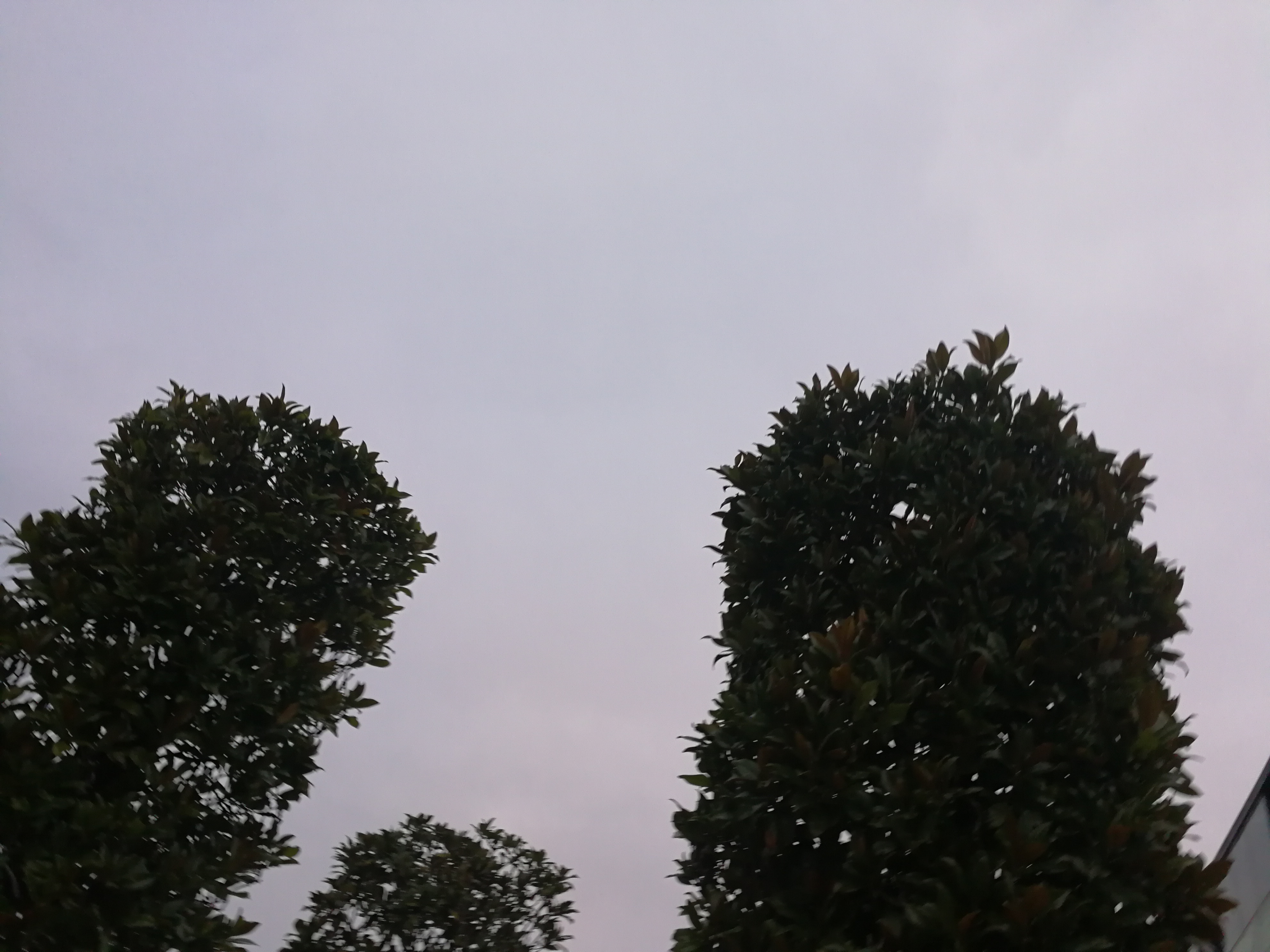 Photo n° 3 de l'avis de Fouad.s fait le 06/12/2017 à 13:21