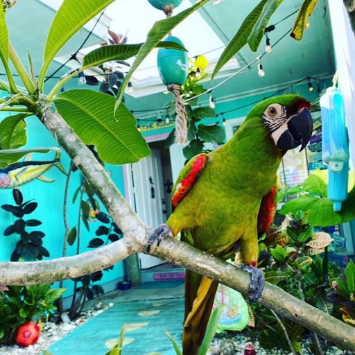 House Cleaning Service «Two Maids & A Mop», reviews and photos, 1515 E 9th Ave, Tampa, FL 33605, USA