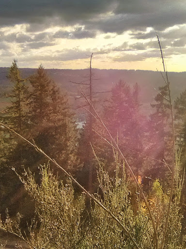 Youth Social Services Organization «Gordon Family YMCA», reviews and photos, 16101 64th St E, Sumner, WA 98390, USA