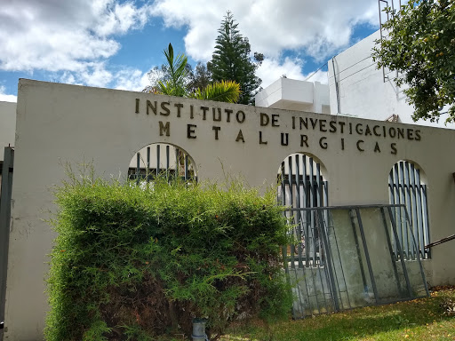 Instituto de Investigación en Metalurgia y Materiales