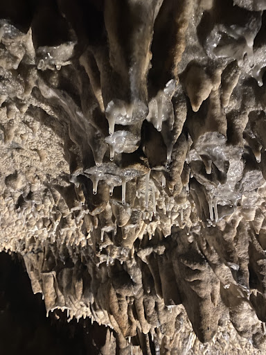 Wedding Venue «Melrose Caverns», reviews and photos, 6639 N Valley Pike, Harrisonburg, VA 22802, USA