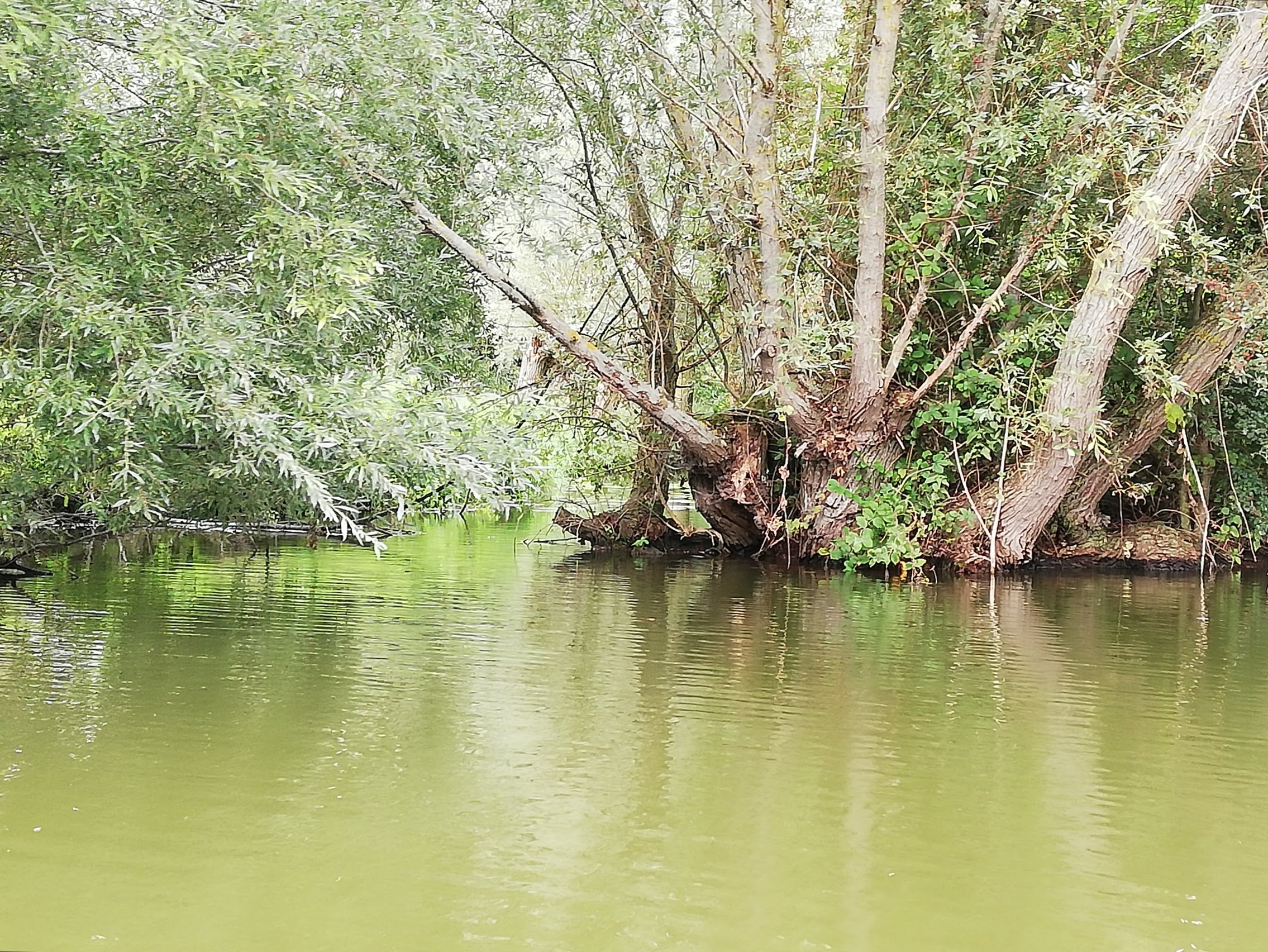 Photo n° 2 de l'avis de Lena.i fait le 30/08/2018 à 18:31