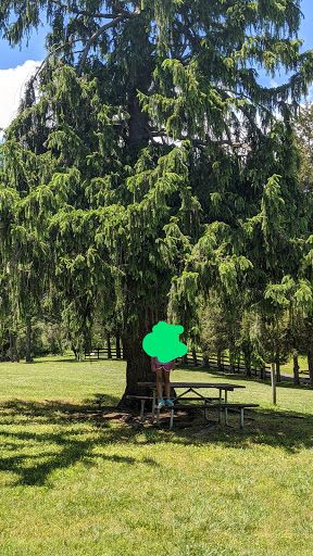 Park «Rockburn Branch Park», reviews and photos, 6105 Rockburn Branch Park Rd, Elkridge, MD 21075, USA