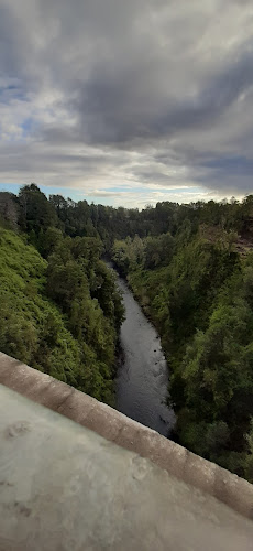 Opiniones de Champulli en Río Bueno - Restaurante