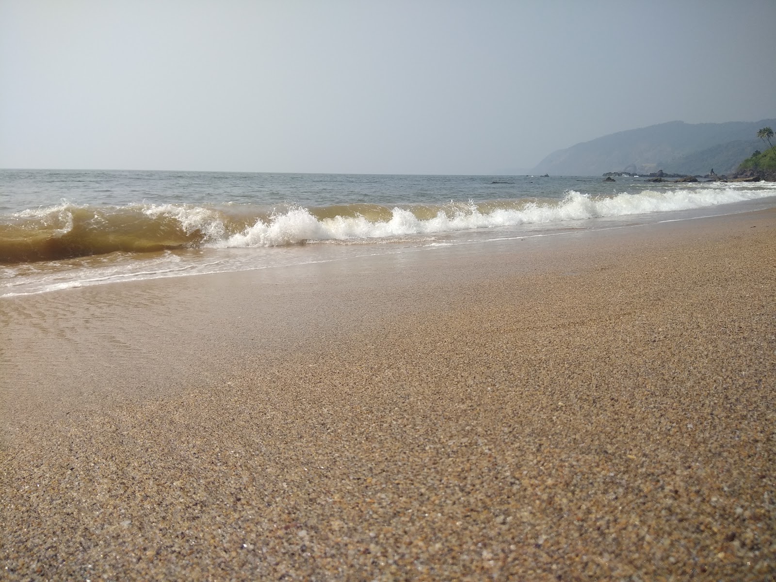 Foto de Cola Beach ubicado en área natural