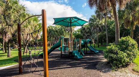Mission Bay, FL Tree and Stump Services