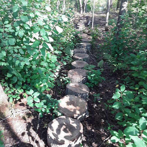 Nature Preserve «Eliason Nature Reserve», reviews and photos, 9501 Shaver Rd, Portage, MI 49024, USA