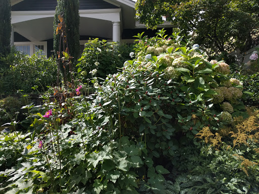 Park «Wallace City Park», reviews and photos, 1600 NW 25th Ave, Portland, OR 97210, USA