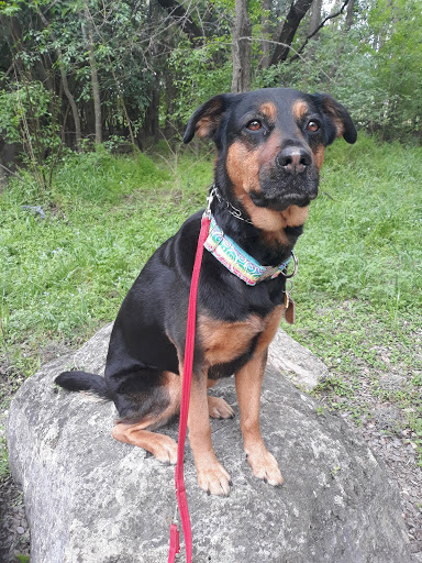 Park «Olmos Basin», reviews and photos, 651 Devine Rd, San Antonio, TX 78209, USA