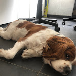 Photo n° 1 de l'avis de Pierre.e fait le 08/06/2022 à 13:42 pour RENAULT GARAGE GUERITEAU (TECHNAUTO) à Perpignan