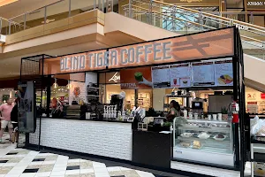 Blind Tiger Coffee Roasters - International Plaza Mall Cafe - Coffee Shop image