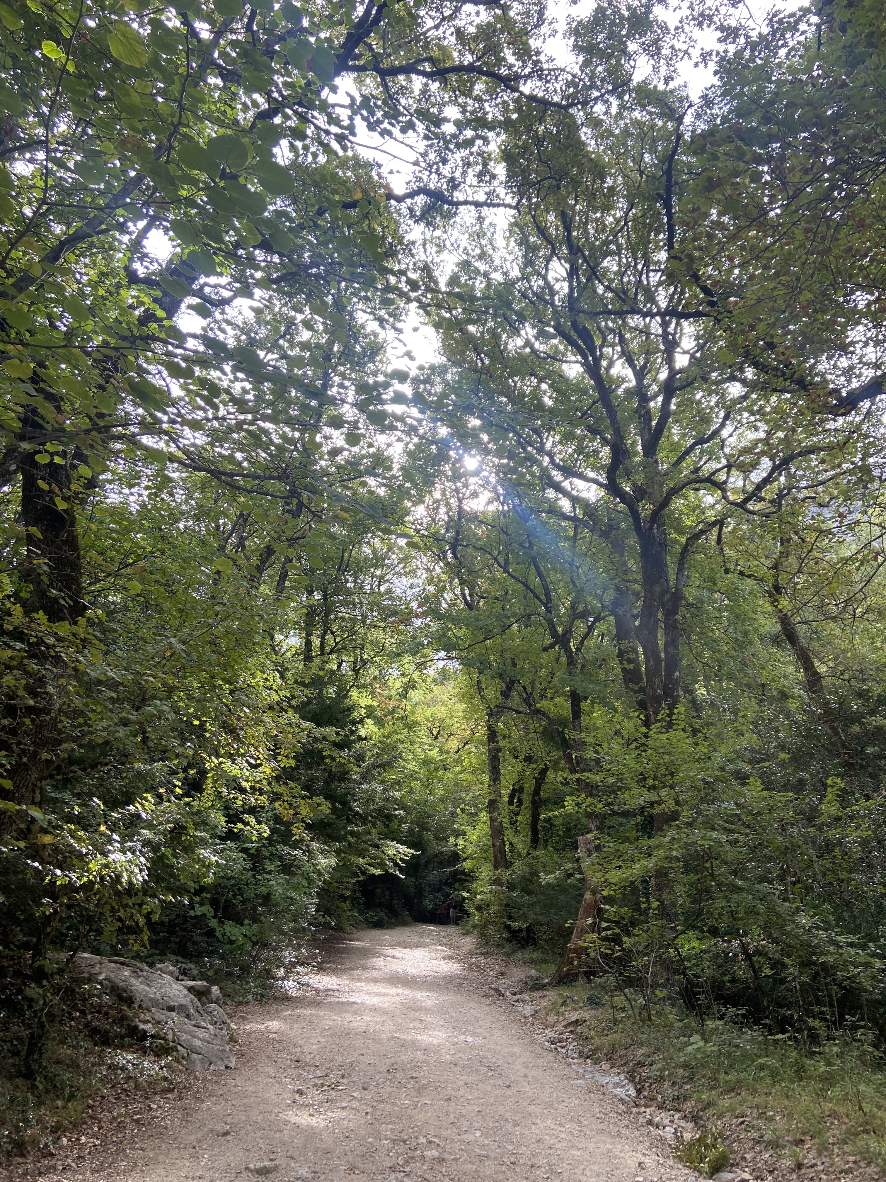 Photo n° 10 de l'avis de Mélanie. fait le 03/10/2022 à 08:41