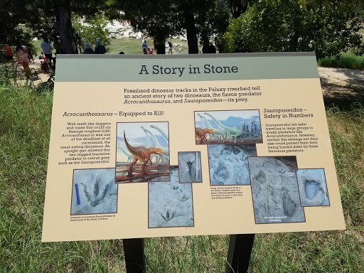 Gift Shop «Dinosaur Valley State Park Store», reviews and photos, 1629 Park Rd 59, Glen Rose, TX 76043, USA