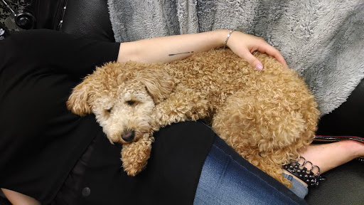 Nail Salon «Dallas Beauty Lounge», reviews and photos, 609 Washington Pike #13, Bridgeville, PA 15017, USA