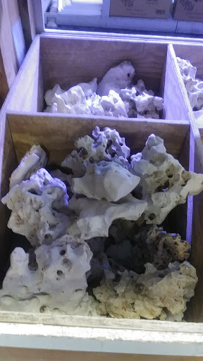 Tropical Fish Store «Fishland», reviews and photos, 13155 Westheimer Rd #114, Houston, TX 77077, USA