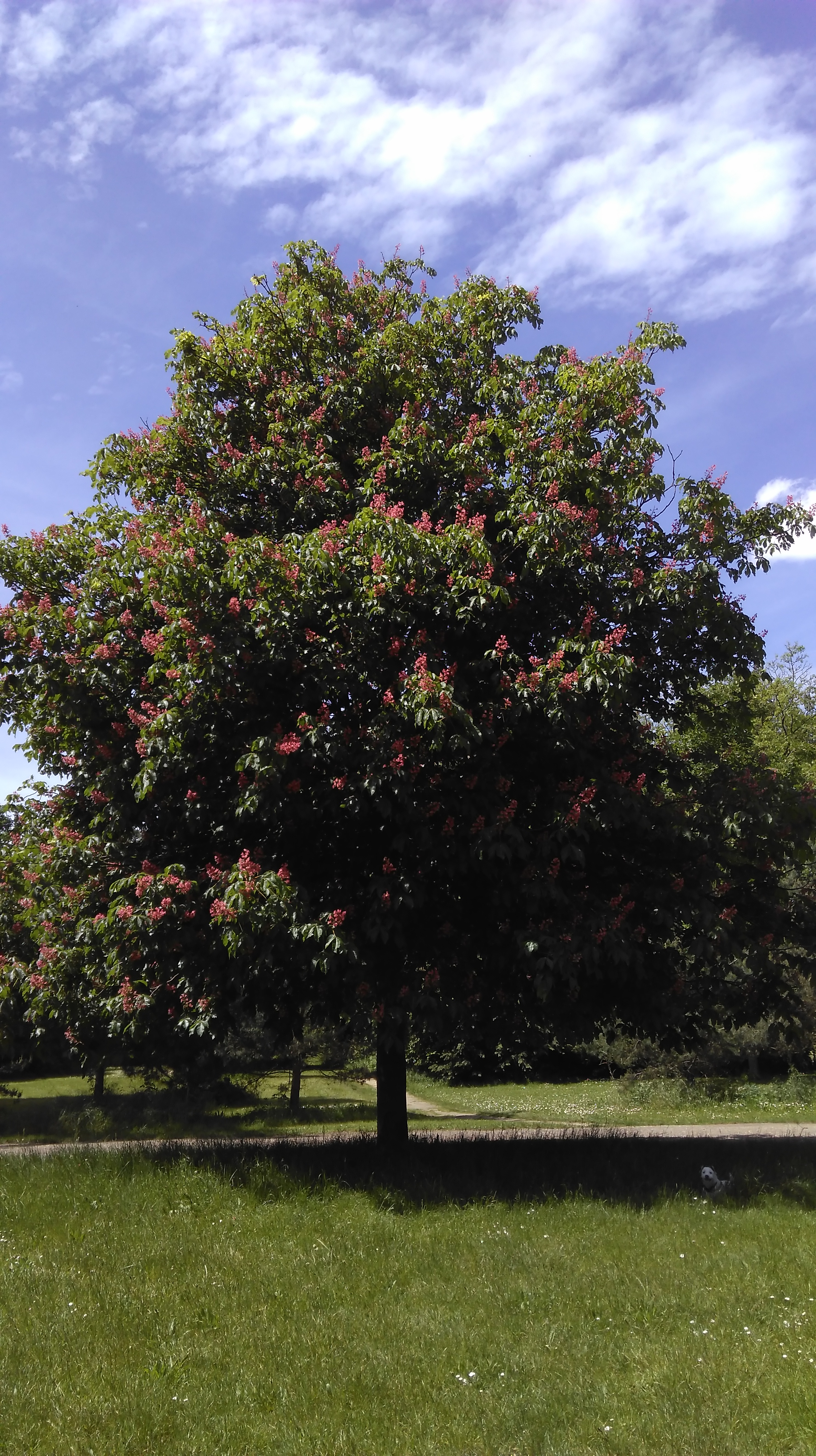 Photo n° 4 de l'avis de Delka. fait le 17/07/2017 à 18:45