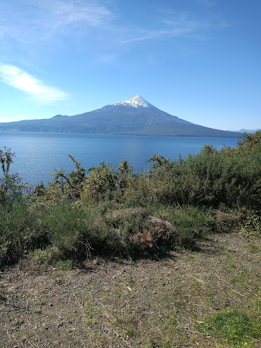 Teléfono de Flor