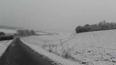 Aigle Blanc à Savins