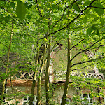 Photo n°1 de l'avis de D... fait le 23/05/2023 à 08:20 sur le  Restaurant Felsenkeller à Quedlinburg