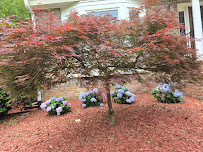 Oak Avenue Landscaping LLC - Photo 7 - Car repair in , Sandy Springs