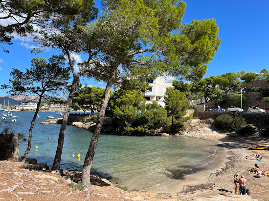 Calo d'en Pellicer