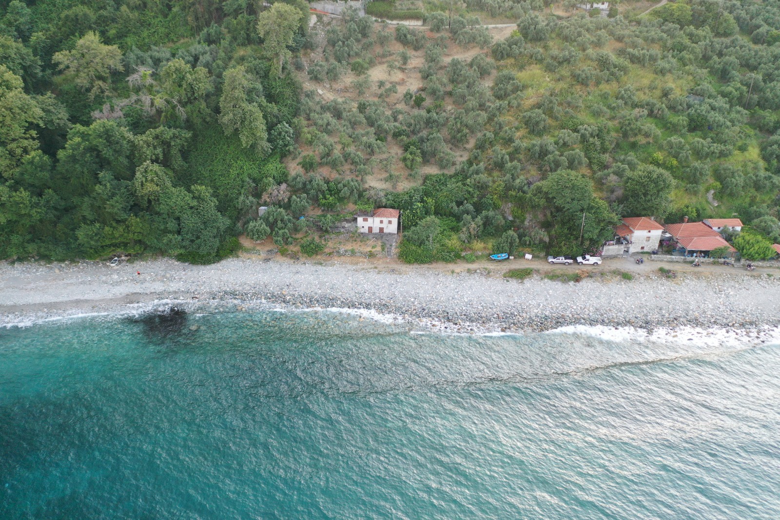 Ascension beach'in fotoğrafı çok temiz temizlik seviyesi ile