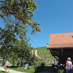 Photo n°2 de l'avis de Holger.c fait le 23/08/2023 à 07:24 sur le  Rebgut Haltnau à Meersburg
