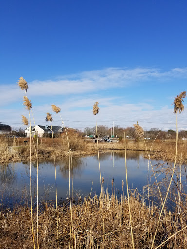 Nature Preserve «Swan River Preserve», reviews and photos, Montauk Hwy, Patchogue, NY 11772, USA