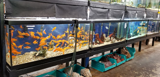 Tropical Fish Store «Two Turtles Pet Center», reviews and photos, 760 W Market St, Akron, OH 44303, USA