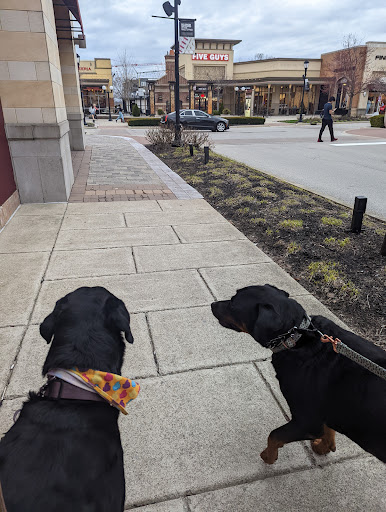 Pet Supply Store «Three Dog Bakery Inc», reviews and photos, 13904 Town Center Blvd # 200, Noblesville, IN 46060, USA