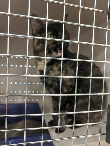 Pet Supply Store «Petco Animal Supplies», reviews and photos, 3860 Elmore Avenue, Davenport, IA 52807, USA