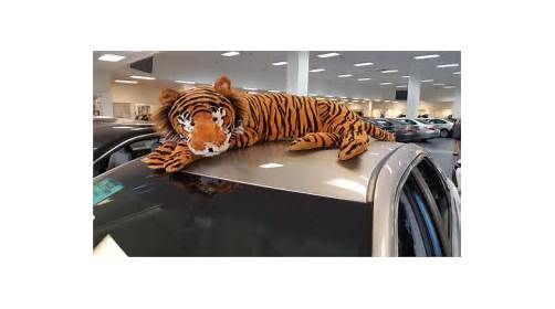 Toyota Dealer «Kings Toyota - New Cars, Indoor Showroom», reviews and photos, 4700 Fields Ertel Rd, Cincinnati, OH 45249, USA