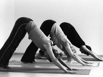 Iyengar Yoga Konstanz