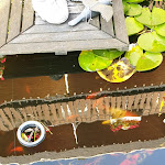 Photo n°5 de l'avis de Jan.a fait le 31/08/2019 à 20:22 sur le  Terrassen Café à Bad Münder