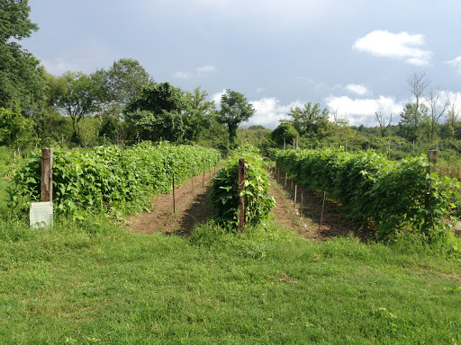 Taylor River Side Farm