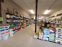 Summerfield Sales, LLC - Photo 9 - Car repair in Belleview, FL, Ocala