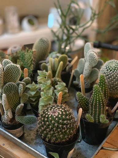 Florist «Fleur de Lis Fresh Flowers», reviews and photos, 516 Selby Ave, St Paul, MN 55102, USA