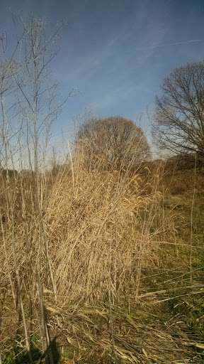 Golf Course «Mt. Lebanon Golf Course», reviews and photos, 1000 Pine Ave, Pittsburgh, PA 15234, USA