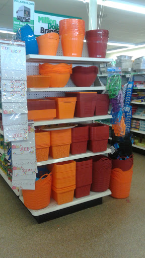Dollar Store «Dollar Tree», reviews and photos, 181 S Rosemead Blvd, Pasadena, CA 91107, USA