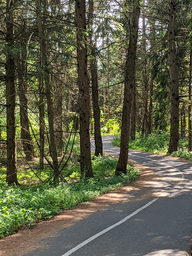 Golf Course «Saratoga Spa Golf Course», reviews and photos, 60 Roosevelt Dr, Saratoga Springs, NY 12866, USA