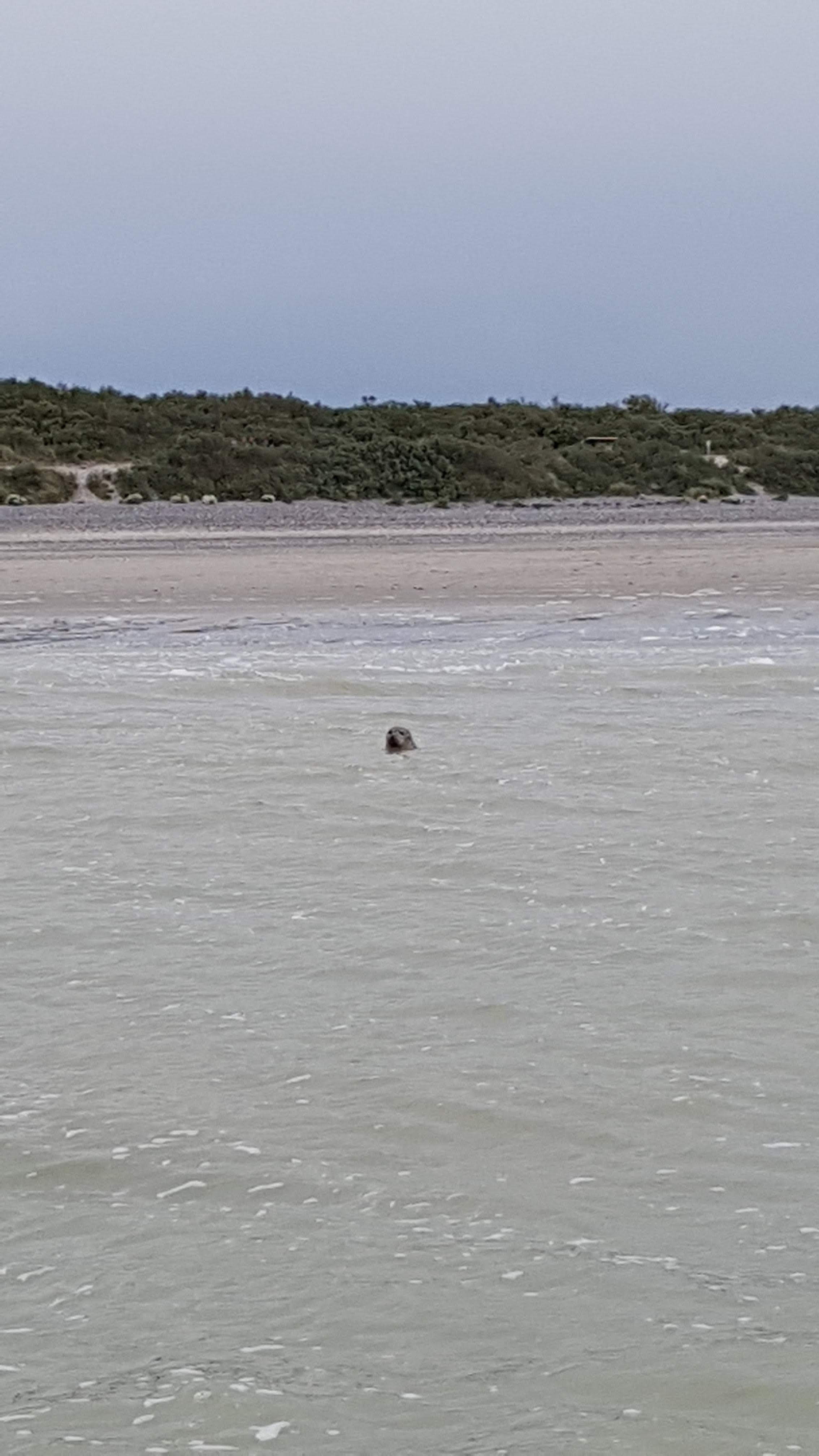Photo n° 9 de l'avis de thiriet.r fait le 20/05/2019 à 07:26