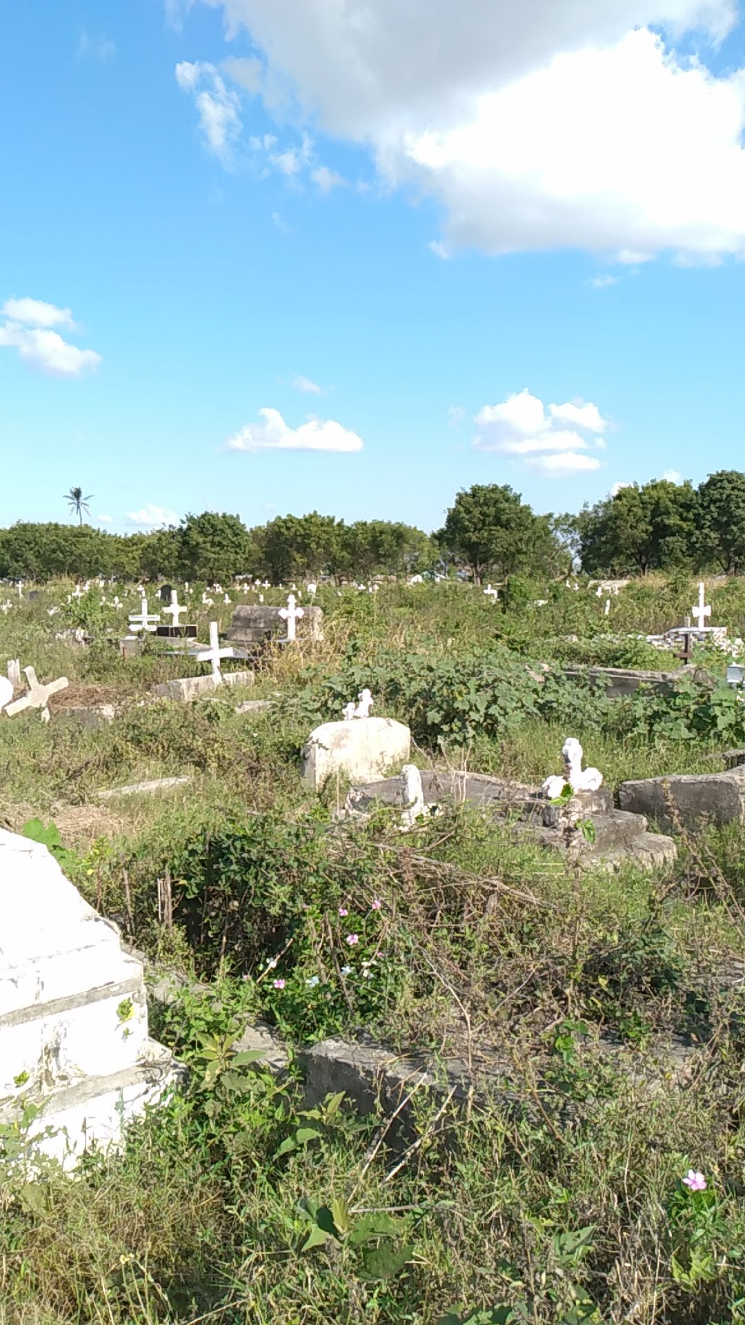 Mianzini Graveyard